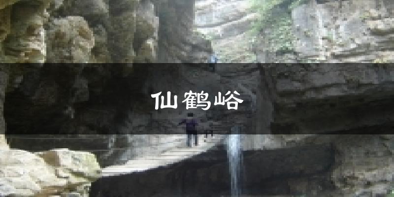 仙鹤峪今日天气