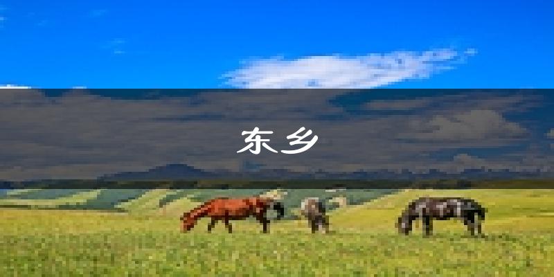东乡天气预报未来一周