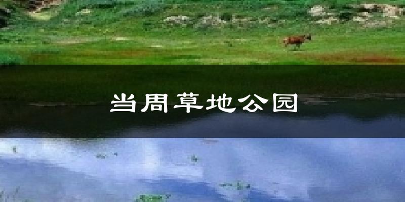 当周草地公园今日天气