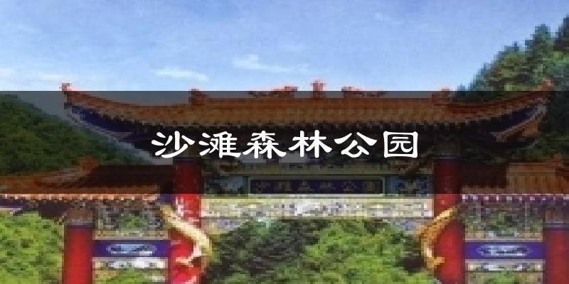 沙滩森林公园今日天气