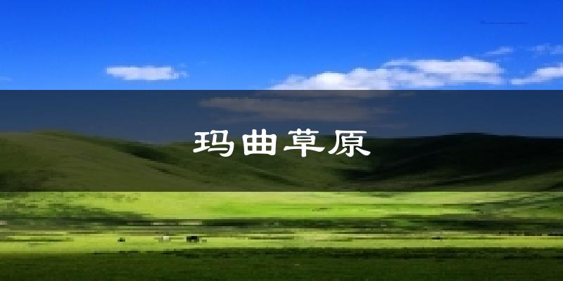 玛曲草原今日天气