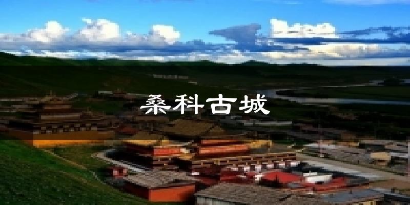 桑科古城今日天气