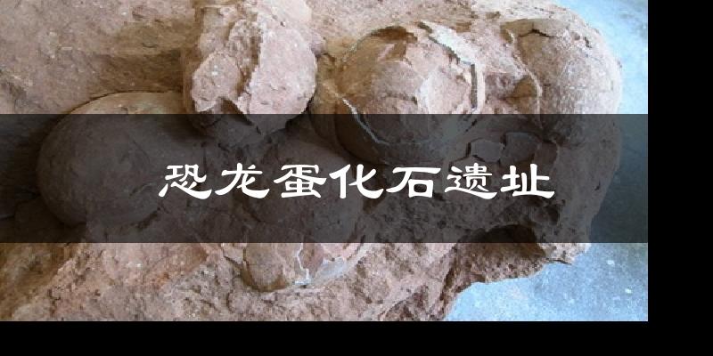 恐龙蛋化石遗址气温