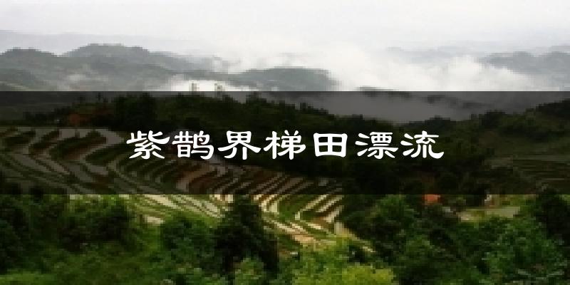 紫鹊界梯田漂流气温
