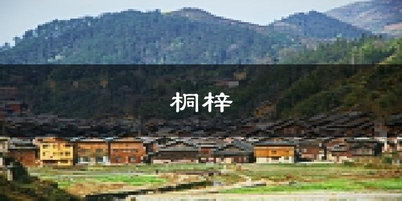 桐梓天气预报未来一周