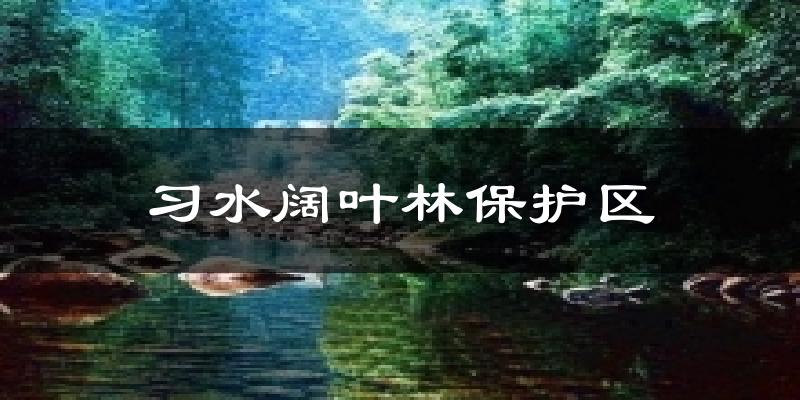 习水阔叶林保护区今日天气