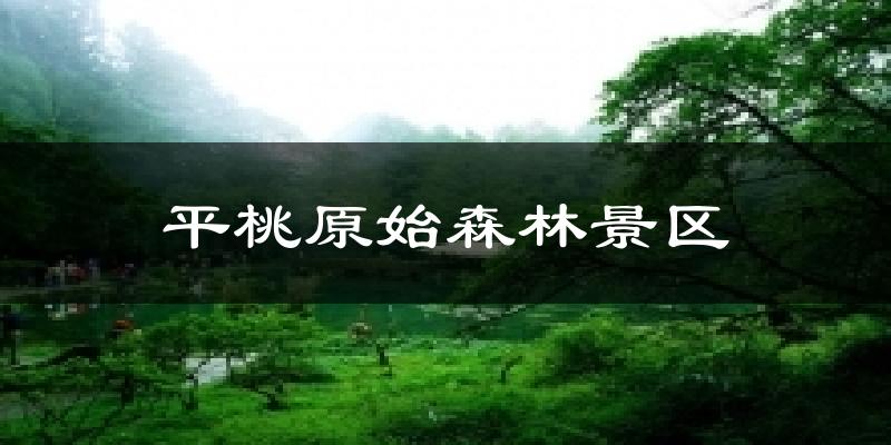 平桃原始森林景区今日天气